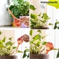 Set 4 picuratoare glob pentru udat plantele, Ballwooters InnovaGoods, Ø6x15 cm, 100 ml, sticla