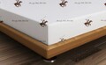 Cearceaf de pat cu elastic, 160x200 cm, 100% bumbac ranforce, Beverly Hills Polo Club, BHPC 004, maro