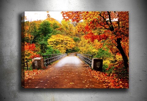 Tablou decorativ 3D Autumn Bridge, Tablo center, 50x70 cm, canvas, multicolor