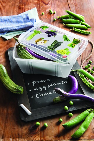 Set 2 caserole dreptunghiulare cu capac, snips, fresh container, 2 l, polipropilena, transparent