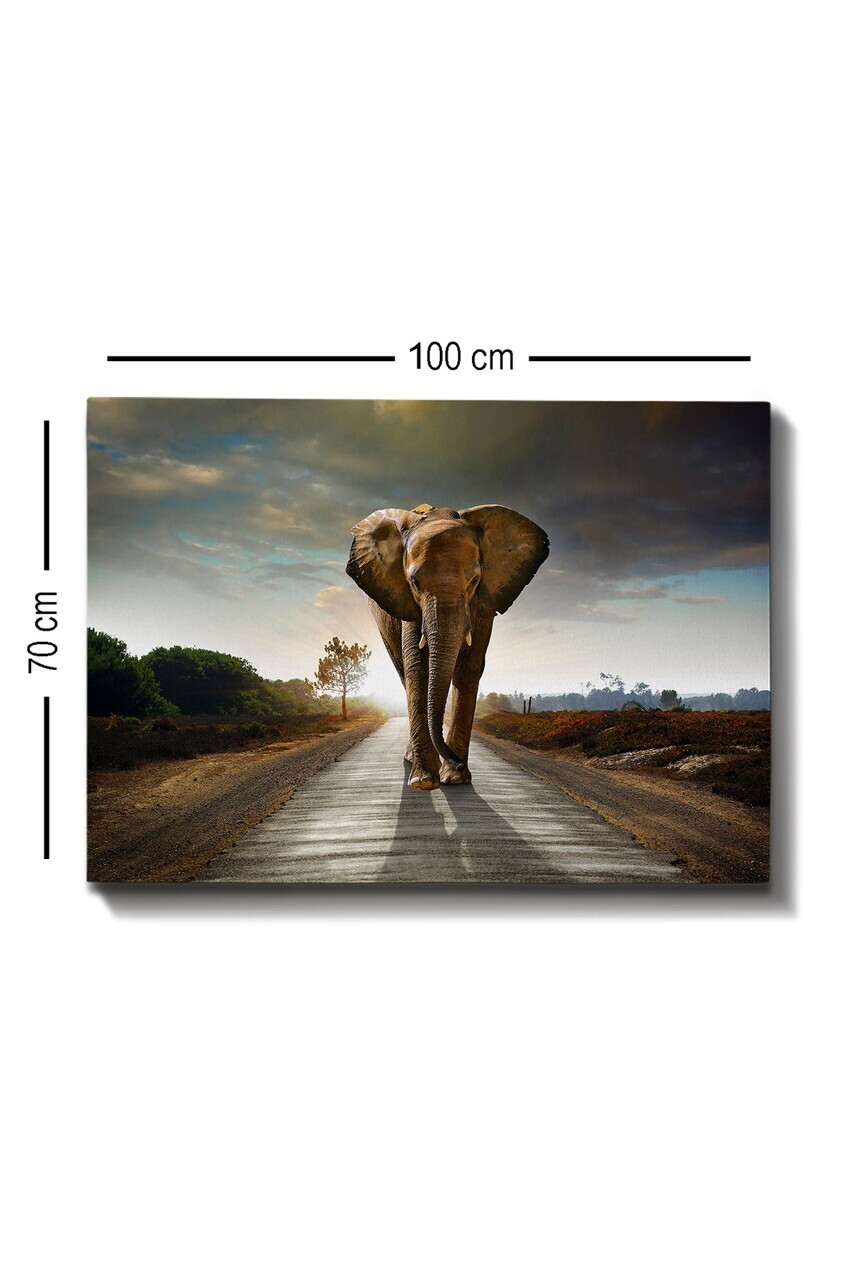 Tablou decorativ, Kanvas Tablo (70 x 100), Canvas, Rama din lemn (grosime 3 cm), Multicolor — imaginea 4