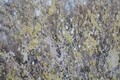 Tablou decorativ Super Tree -B, Mauro Ferretti, 180x60 cm, canvas pictat manual, multicolor