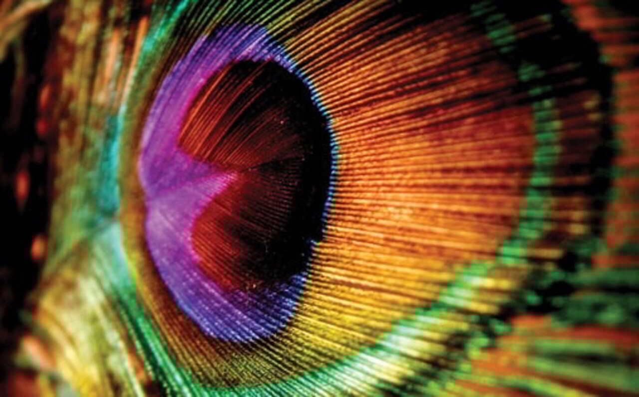 Odorizant spray pentru ambient si tesaturi, Impressive, Spring Air, 500 ml