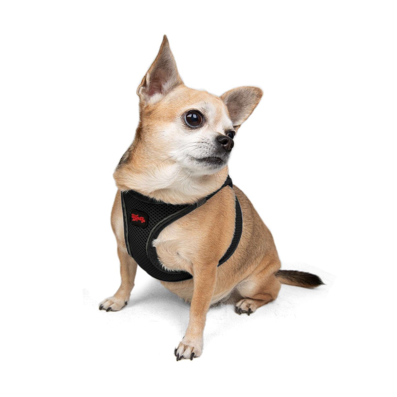 Ham pentru câini, Paws &amp; Whiskers, Air-Mesh, Poliester, Negru - view 2