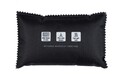 Dezumidificator pentru masina 400 g, 2 bucati, Wenko, 18 x 3.5 x 11 cm, poliester