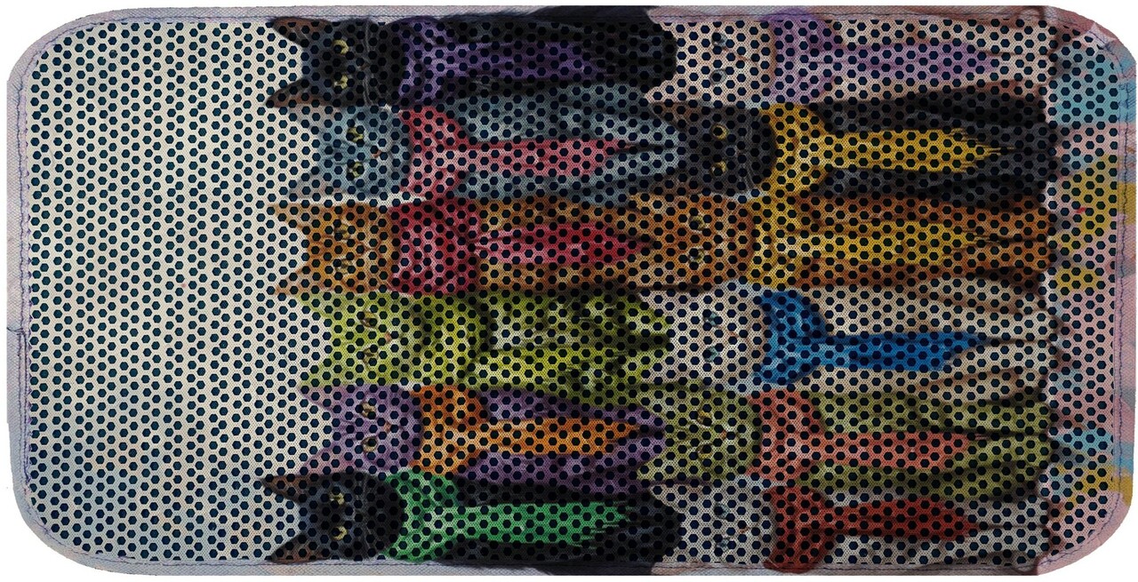 Covoras litiera pentru colectarea granulelor de nisip, Paws &amp; Whiskers, Cat Lıtter Mat 54, Multicolor - view 2