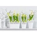 Jardiniera Koronka dantelata, plastic, 27x15x16 cm, alb