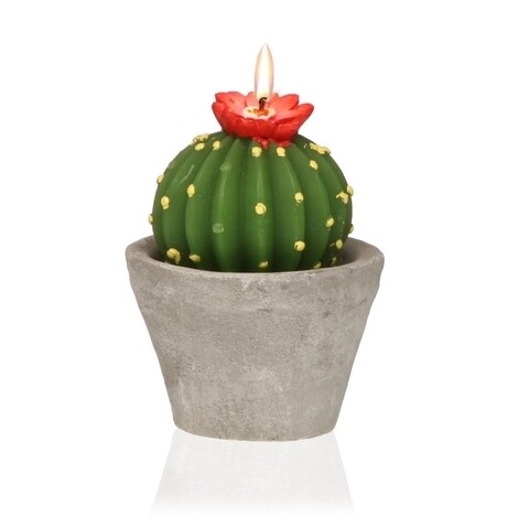 Lumanare Cactus with Pot, Versa, Ø8×10.3 cm, parafina