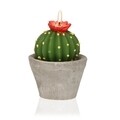 Lumanare Cactus with Pot, Versa, Ø8x10.3 cm, parafina