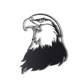 Decoratiune de perete, Noble Eagle, Metal, Dimensiune: 38 x 44 cm, Negru