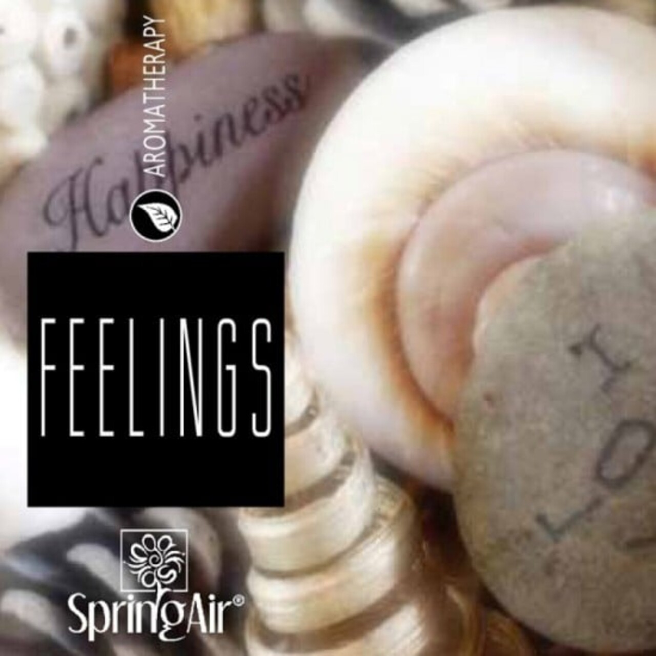 Rezerva odorizanta pentru camera, Feelings, Spring Air, 250 ml