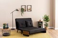 Canapea extensibilă cu 2 locuri, Futon, 859FTN2721, Metal , Negru