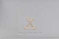 Rucsac Beverly Hills Polo Club, 707, piele ecologica, platinum