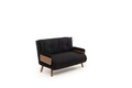 Canapea extensibilă cu 2 locuri, Futon, 859FTN2721, Metal , Negru