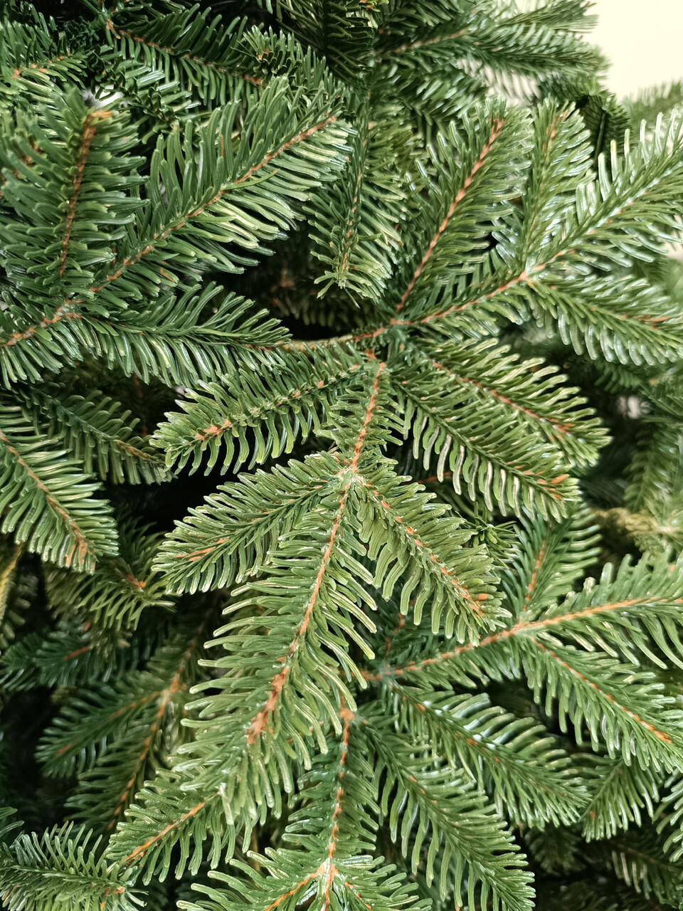 Brad artificial Christmas Deluxe by Sersimo, Canada verde, 3D, 230cm — imaginea 11