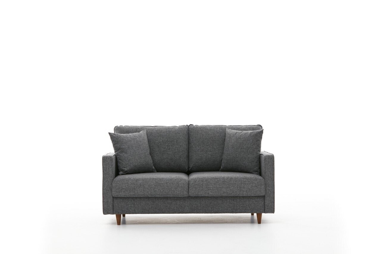 Canapea 2 locuri, Atelier del Sofa, 613LFS1140, Gri — imaginea 5