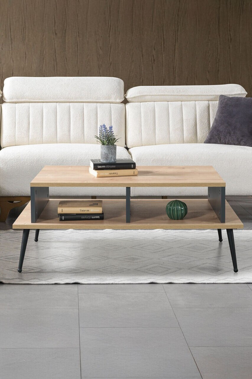 Masuta de cafea, Hanah Home, Şile 2009, 100x40x56 cm, PAL, Stejar safir / Antracit — imaginea 2
