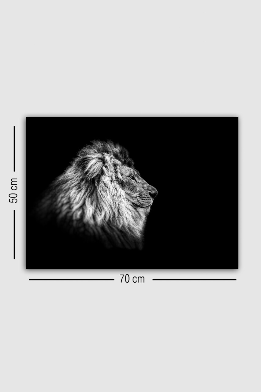 Tablou decorativ, 590776598-5070, Cadru: 100% LEMN (grosime: 3 cm), Multicolor - view 3