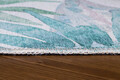 Covor, Funk Chenille, 75x230 cm, Poliester , Multicolor