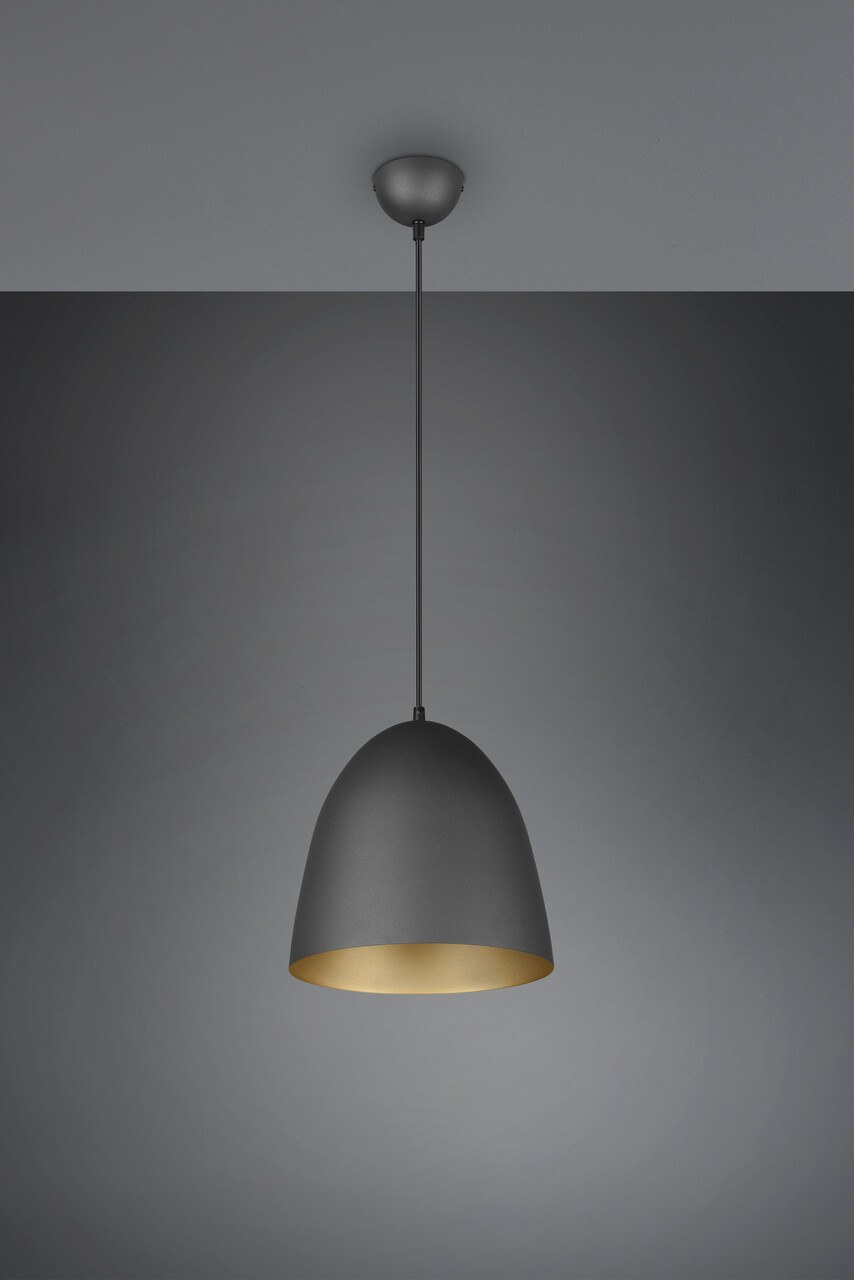 Lustra Tilda, RL, 25x150 cm, 40W, 1x E27, metal, negru/auriu - view 2
