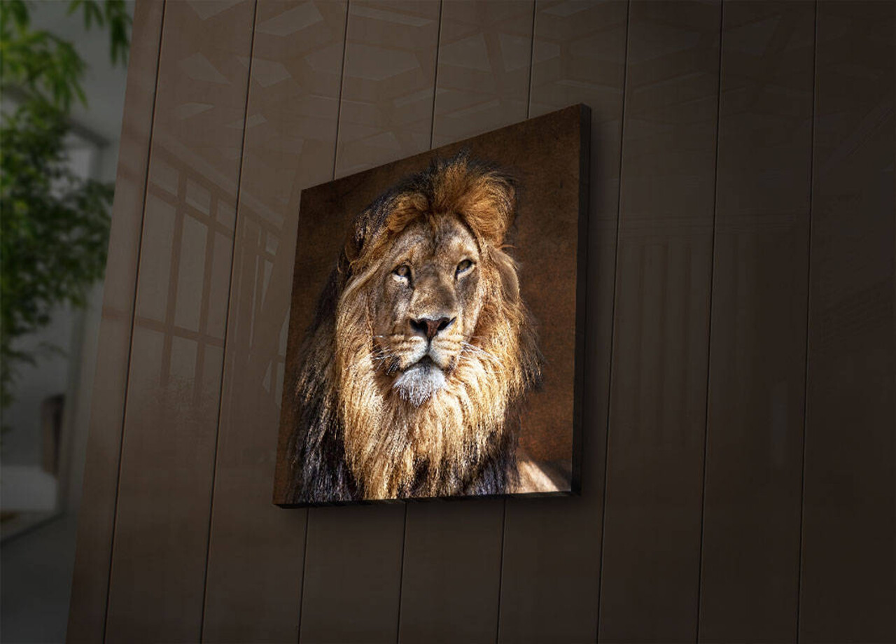 Tablou decorativ cu lumina LED, 4040İACT-20, Dimensiune: 40 x 40 cm, Multicolor - view 3
