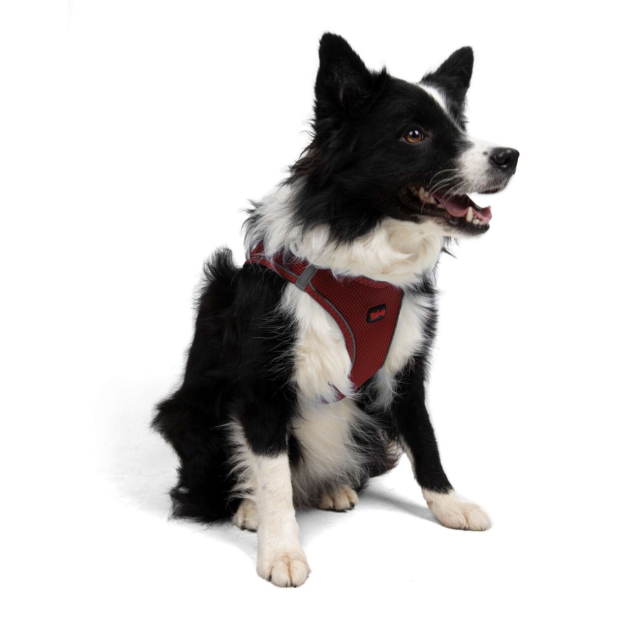 Ham pentru câini, Paws &amp; Whiskers, Air-Mesh, Poliester, Rosu claret - view 6
