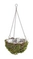 Ghiveci Evergreen, suspendabil, Bizzotto, Ø25 x 14 cm, ratan/plastic