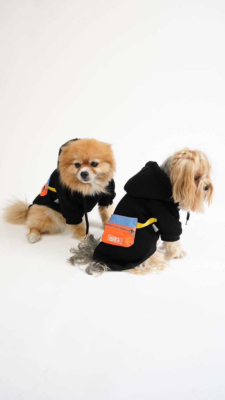 Hanorac pentru câini, Paws &amp; Whiskers, City Walk Hoodie, Negru - imagine 3