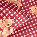 Lenjerie de pat pentru o persoana Nallar, Homla, 2 piese, 140x200 cm, microfibra din poliester, multicolor