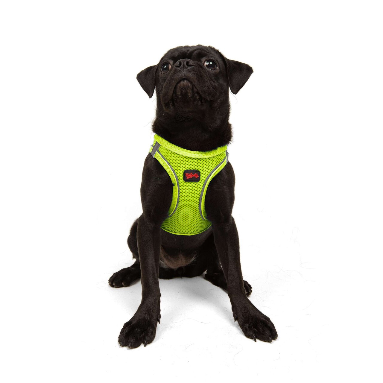 Ham pentru câini, Paws &amp; Whiskers, Air-Mesh, Poliester, Neo Lime - view 6