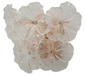 Aplica de perete Ibiscus, Mauro Ferretti, 3 x E14, 20W, 33x17x28 cm, sticla/fier, multicolor