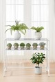 Dulap, Modara, By-4, Alb / Transparent