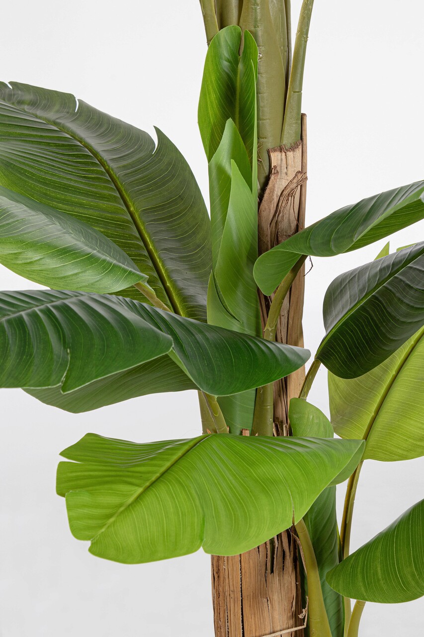 Planta artificiala in ghiveci Banana, Bizzotto, 115 x 120 x 200 cm, 20 frunze, frunze de arbore de cauciuc - 1 | YEO