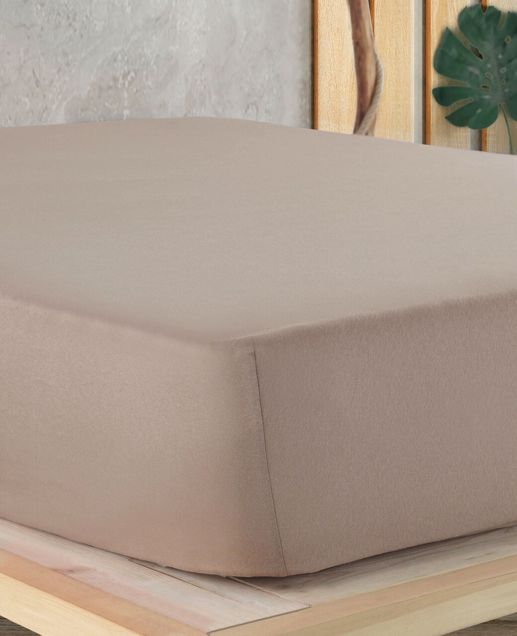 Cearceaf de pat cu elastic Jersey Double (FR) (IT) (ES) DE), L'essentiel Maison, Cappuccino, Cappuccino - imagine 3