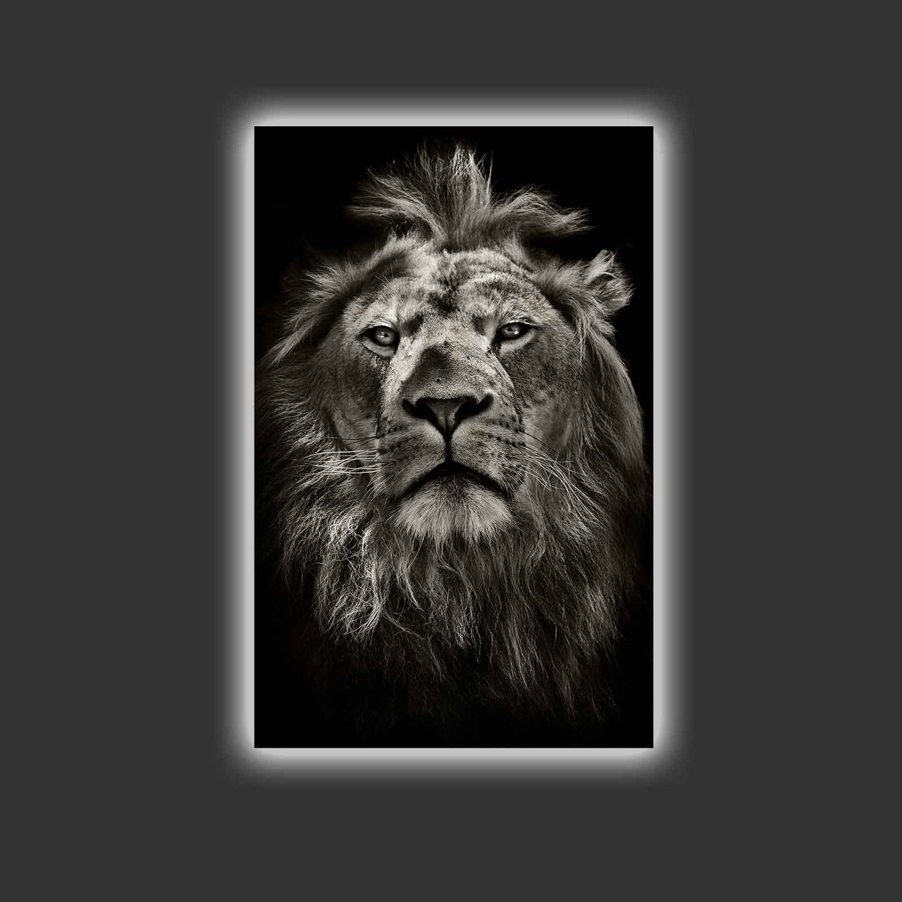 Tablou decorativ cu lumina LED, 4570MDACT-058, Dimensiune: 45 x 70 cm, Multicolor - view 3