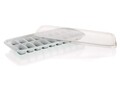 Tava pentru gheata, Alegria, Royce Bohemia, 26x9 cm, plastic