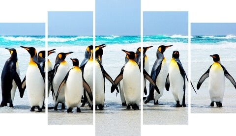 Set 5 tablouri decorative Penguins, Homemania, lemn de pin/poliester
