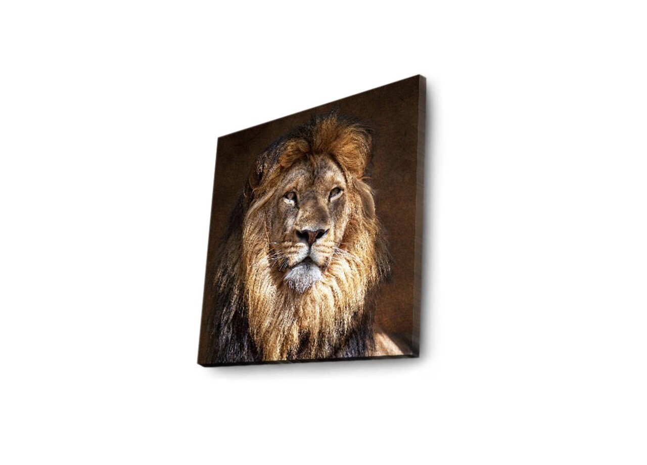 Tablou decorativ cu lumina LED, 4040İACT-20, Dimensiune: 40 x 40 cm, Multicolor - view 5