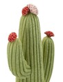Figurina /sculptura decorativa Cactus, Mauro Ferretti, 13x7x25 cm, polirasina, multicolor