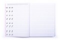 Caiet pentru caligrafie, The Best Calligraphy, Tri-Coastal Design, 21 x 14 cm