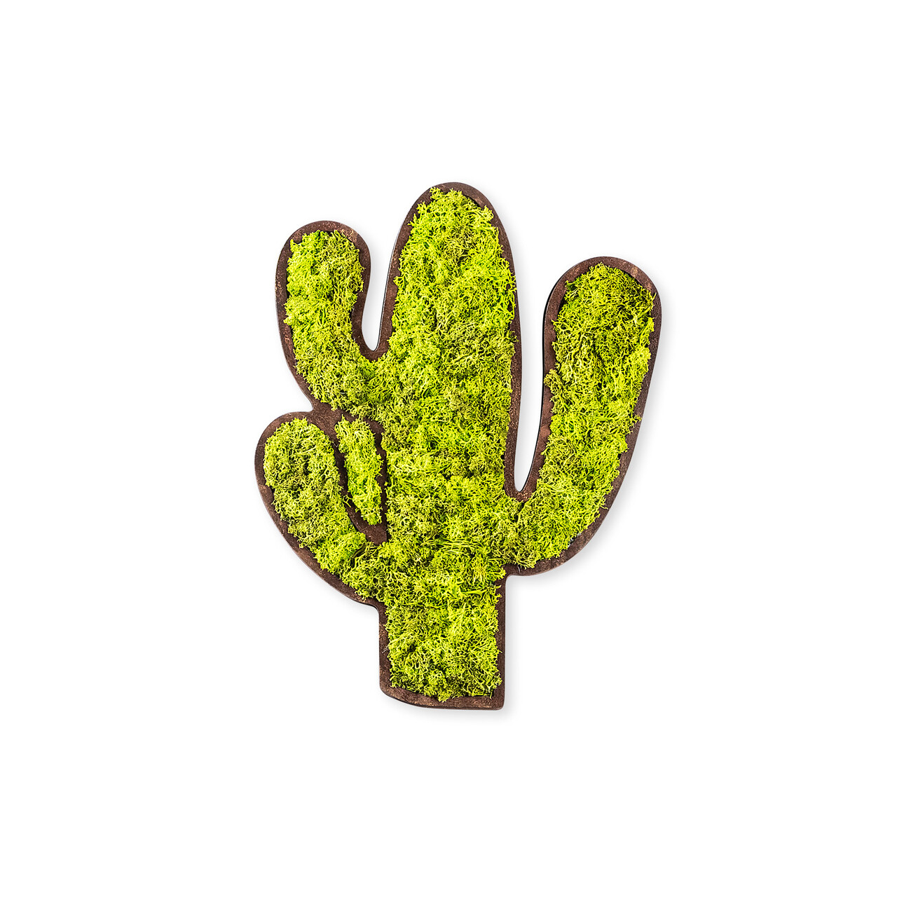 Decoratiune de perete, Cactus, Dimensiuni: 34 x 1,6 x 45 cm, Verde/Alb - view 4