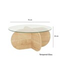 Masuta de cafea, Neostill, Bubble, 75x35x75 cm, Sticla temperata , Maro
