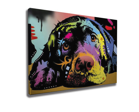 Tablou decorativ, WY164 (50 x 70), 50% bumbac / 50% poliester, Canvas imprimat, Multicolor
