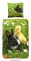 Lenjerie de pat pentru o persoana, Good Morning, Spring, 100% bumbac, 2 piese, multicolor
