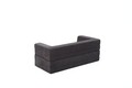Canapea extensibilă cu 2 locuri, Balcab Home, 825BLC5402, Material: 100% ȘENILĂ, Antracit