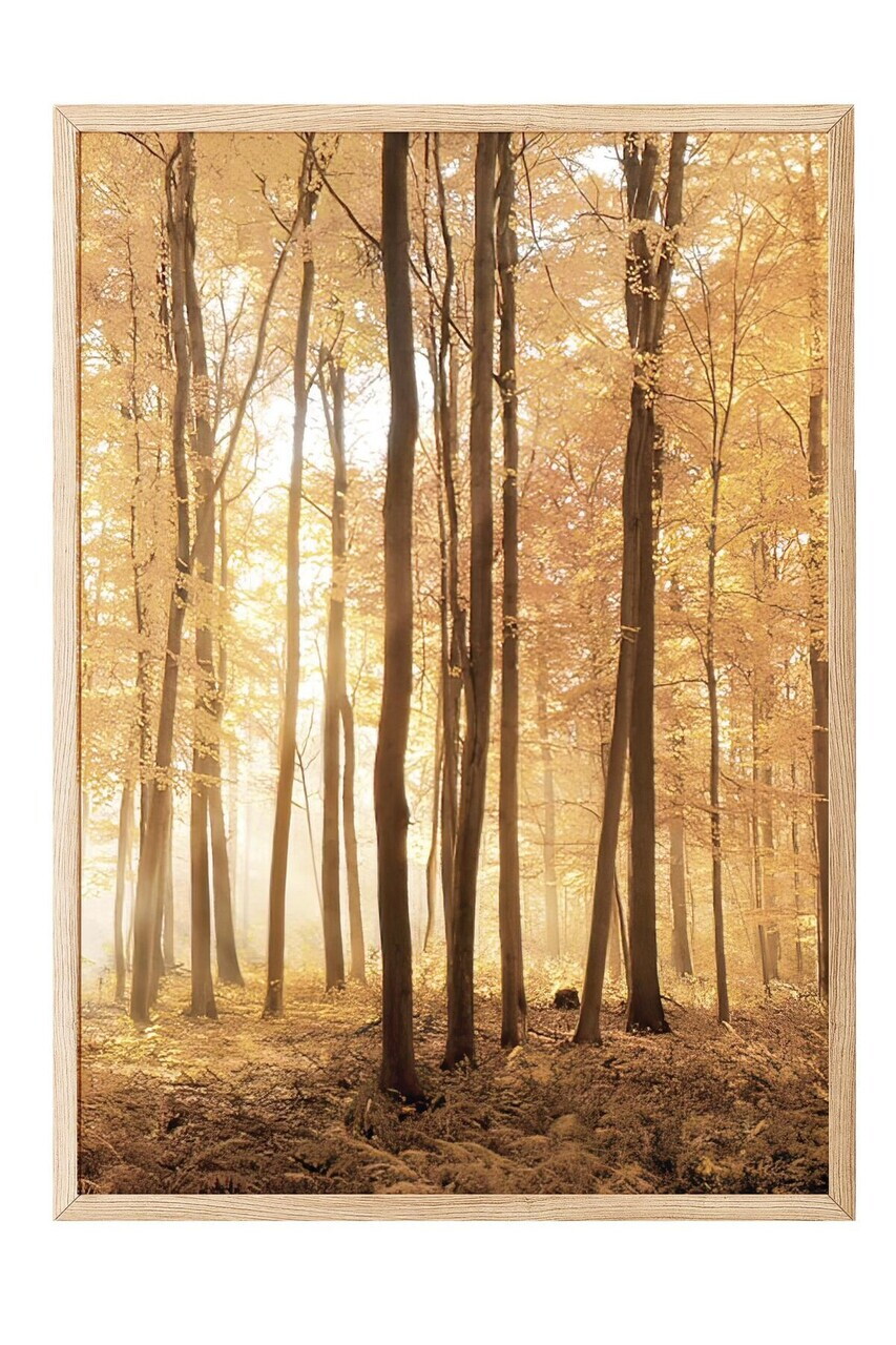 Tablou decorativ, 108347, Lemn masiv, Sticla PVC, Multicolor - view 2