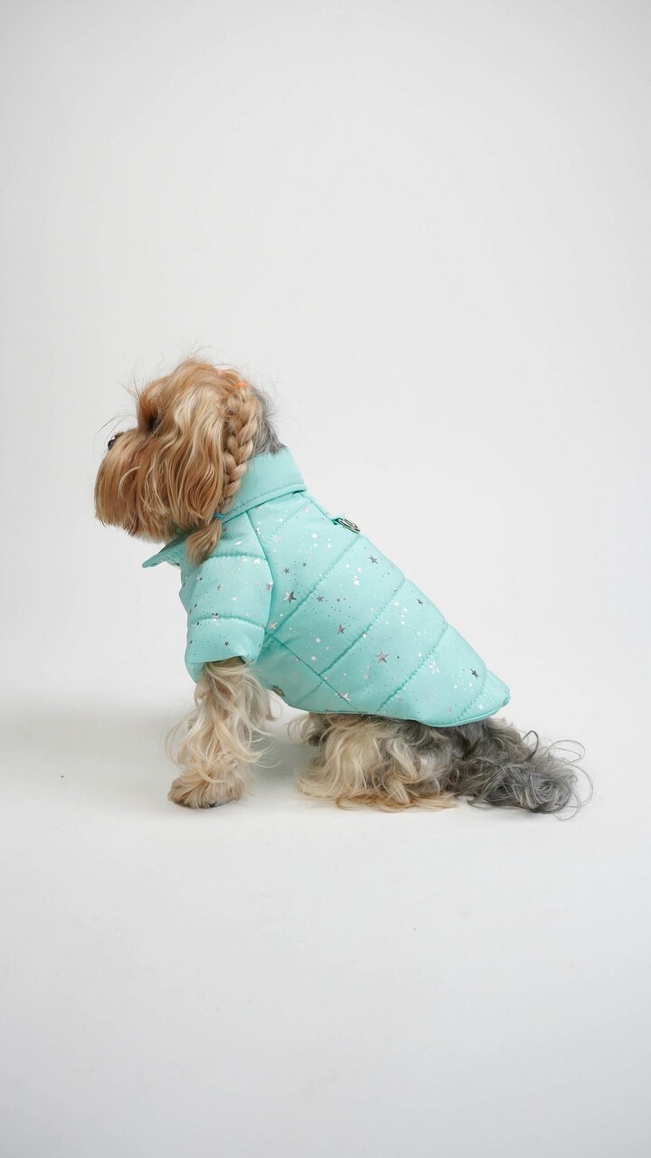 Hanorac pentru câini, Paws &amp; Whiskers, Angel Glow Coat, Albastru - view 2
