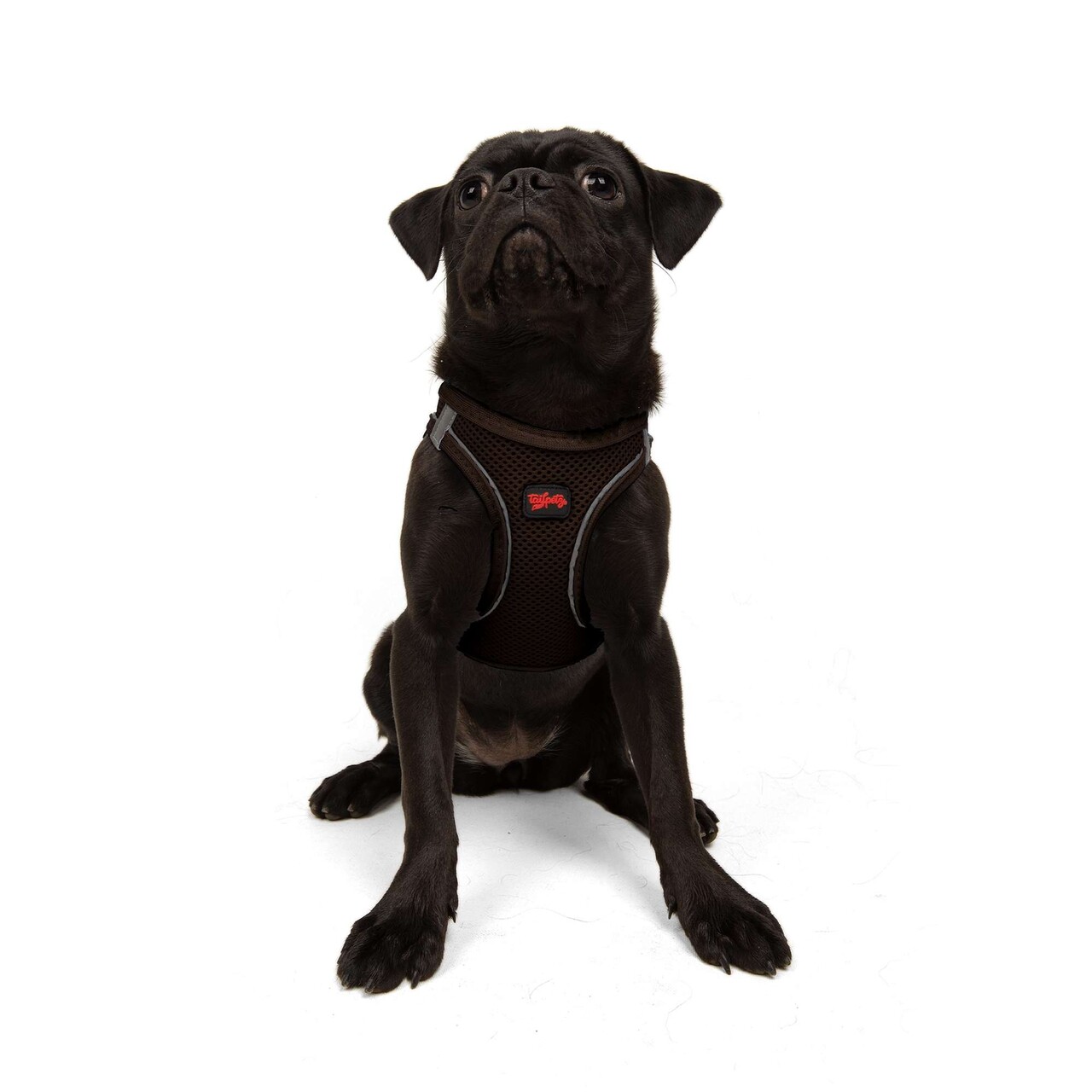 Ham pentru câini, Paws &amp; Whiskers, Air-Mesh, Maro - view 6