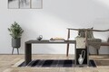 Masuta de cafea, Asse Home, Memo, 86.8x32.4x50 cm, Antracit