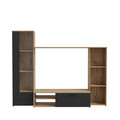 Set mobilier living 4 piese Raalte, Bedora, 220.4x41.3x177.5 cm, PAL/plastic, stejar/negru